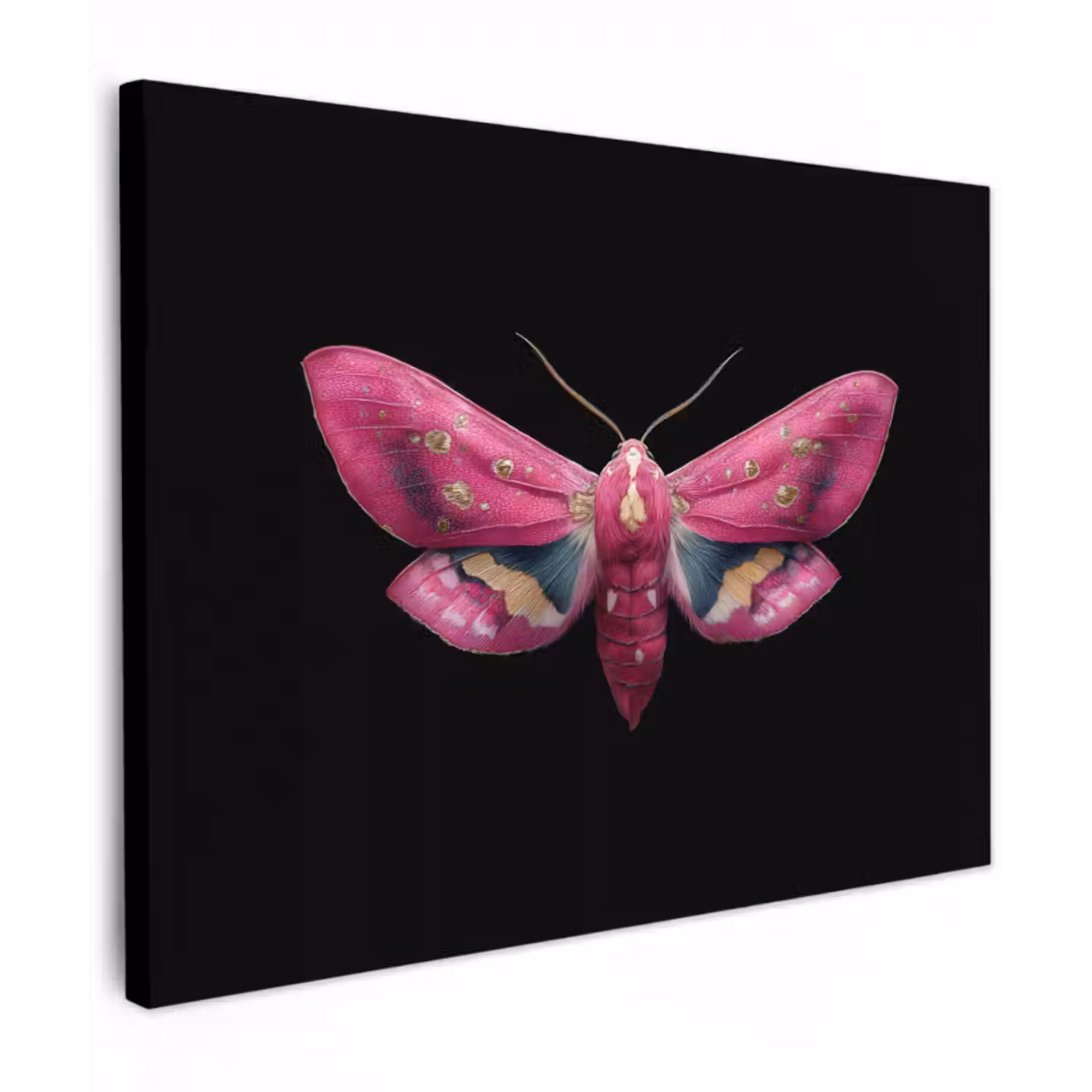 Canvas schilderij - Vlinder - Roze - Nachtvlinder