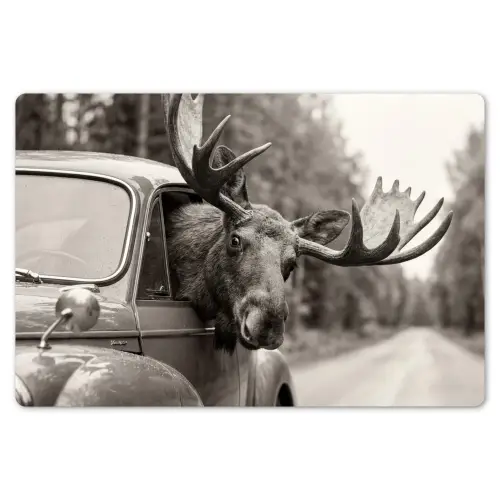 Eland - Auto - Gewei - Zwart - Wit Placemat vinyl groot -zzsfeer1_Kitchenyeah-website