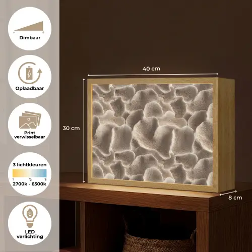 Waaiervorm - Beige - Vezel textuur Light Box met batterij (Wandlamp) middel 907 -USP_websiteoverzichtNL