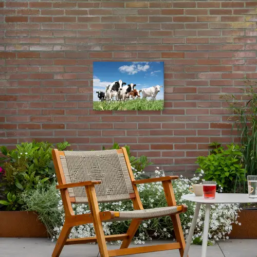 Koeien - Platteland - Weiland - Natuur - Dieren Tuinposter op houten frame 2 cm dik klein -sfeer3