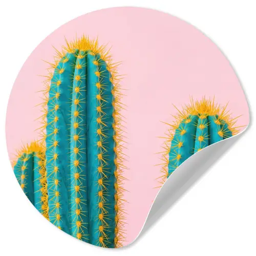 Cactussen - Modern - Pastel Wandcirkel behangsticker klein -3d