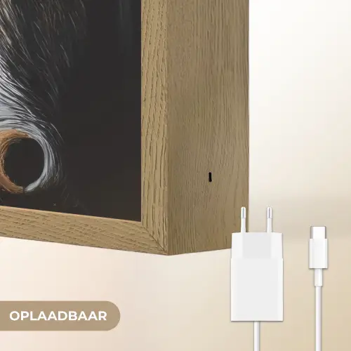 Stier - Hoorns - Snuit - Goud Light Box met batterij (Wandlamp) middel -USP_websiteoplaadbaarNL
