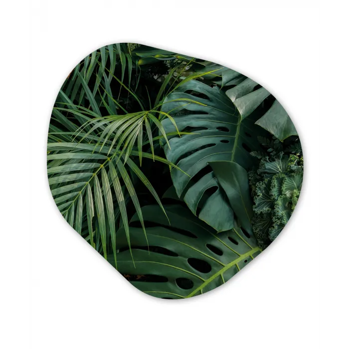 Planten - Jungle - Bladeren - Tropisch Wandcirkel Organisch Forex 3mm klein -3d