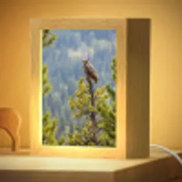 Uil - Oehoe - Bomen - Natuur Light Box met kabel (Kinderlampje) klein -zzzz_3d_website