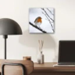 Roodborstje - Tak - Sneeuw - Winter - Levendig aluminium wit klein -sfeer5