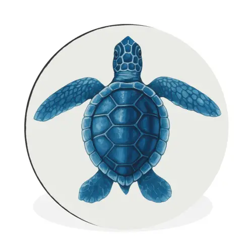 Schildpad - Blauw - Schild Wandcirkel aluminium klein -3d