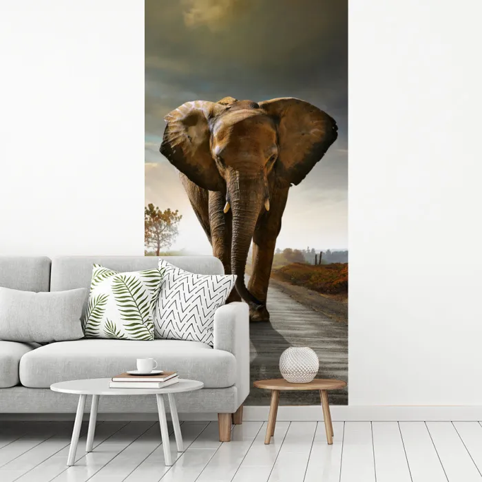 Olifant - Weg - Dieren - Zonsondergang - Landschap fotobehang vinyl groot -woonkamer