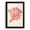 Koraal - Stipjes - Roze fotolijst zwart zonder passe partout klein -3d