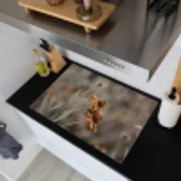 Zonnehoed - Droogbloemen - Geel - Warm Inductie beschemer met haakjes klein -sfeer1