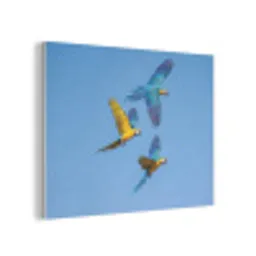 Papagaai - Vliegen - Blauw - Geel PET vilt klein -3d