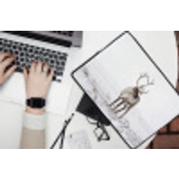 Rendier - Gewei - Sneeuw - Winter laptophoes neopreen klein -bureau