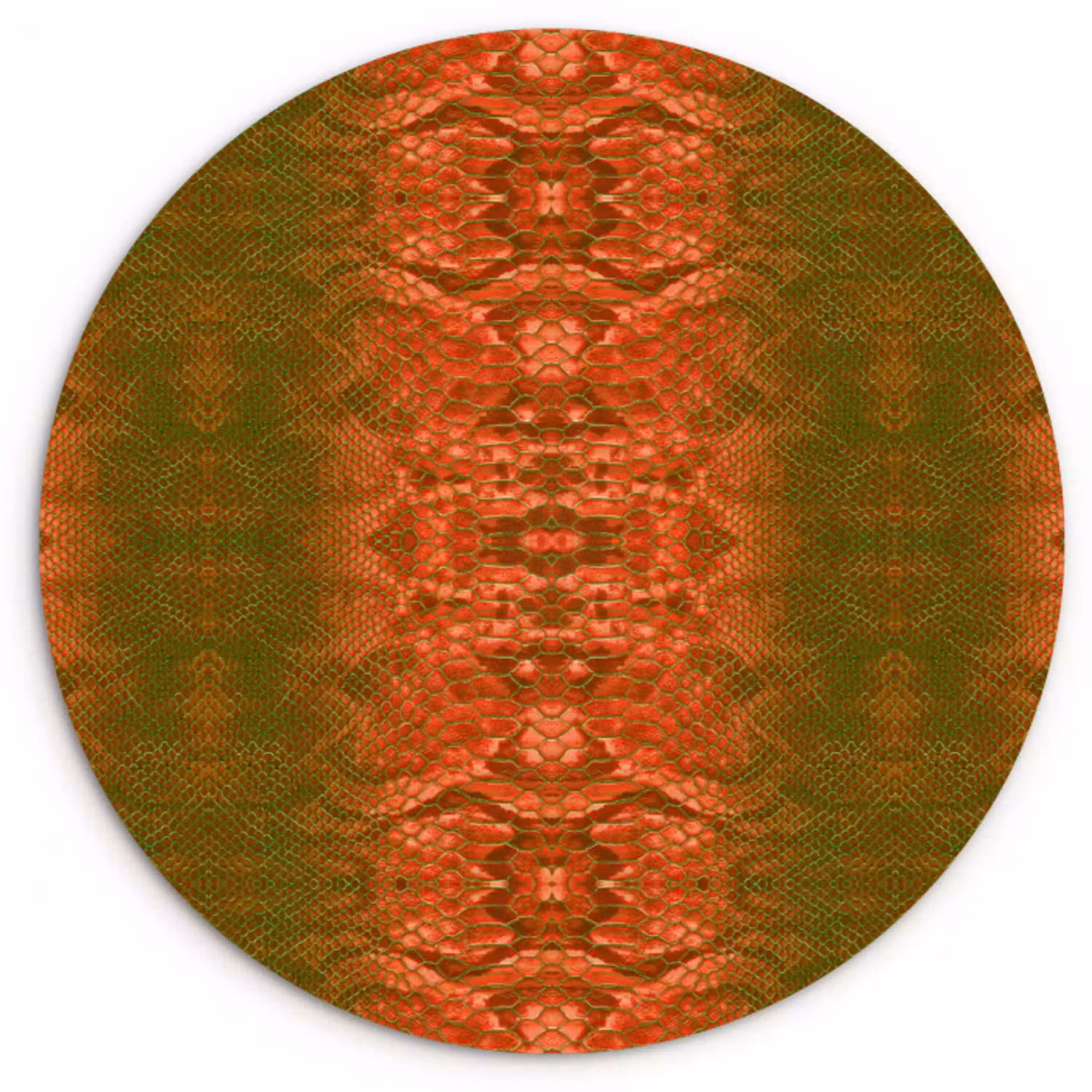 Slang - Boa - Rood - Groen Wandcirkel plexiglas klein 852 -3d