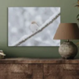 Vogeltje - Sneeuw - Tak - Winter - Zacht PET vilt klein -sfeer2