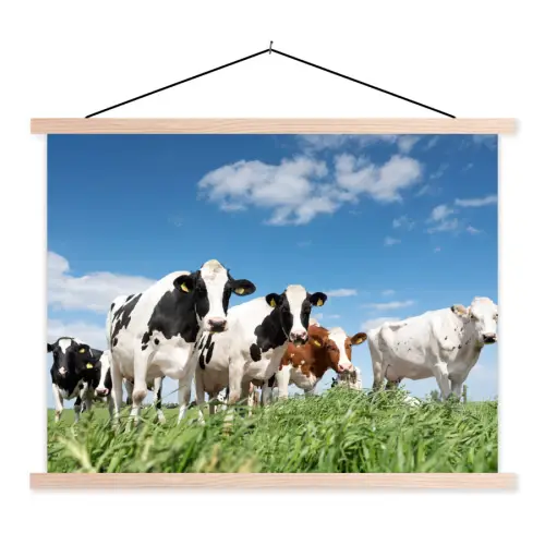 Koeien - Platteland - Weiland - Natuur - Dieren textielposter latten blank klein -3d