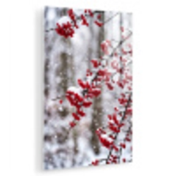 Bessen - Takken - Sneeuw - Winter - Kleurrijk plexiglas 5mm klein -zzzproduct_nieuw