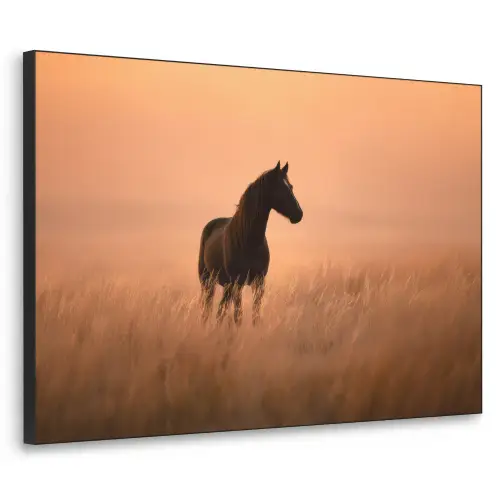 Paard - Grasveld - Zonsondergang Textielframe zwart klein -3d