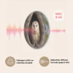 Kerkuil - Boom - Natuur - Bruin Akoestische PET Vilt - Rond klein -USP_FR