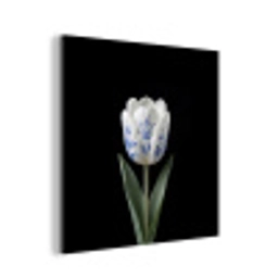 Tulp - Patroon - Blauw aluminium wit klein -3d