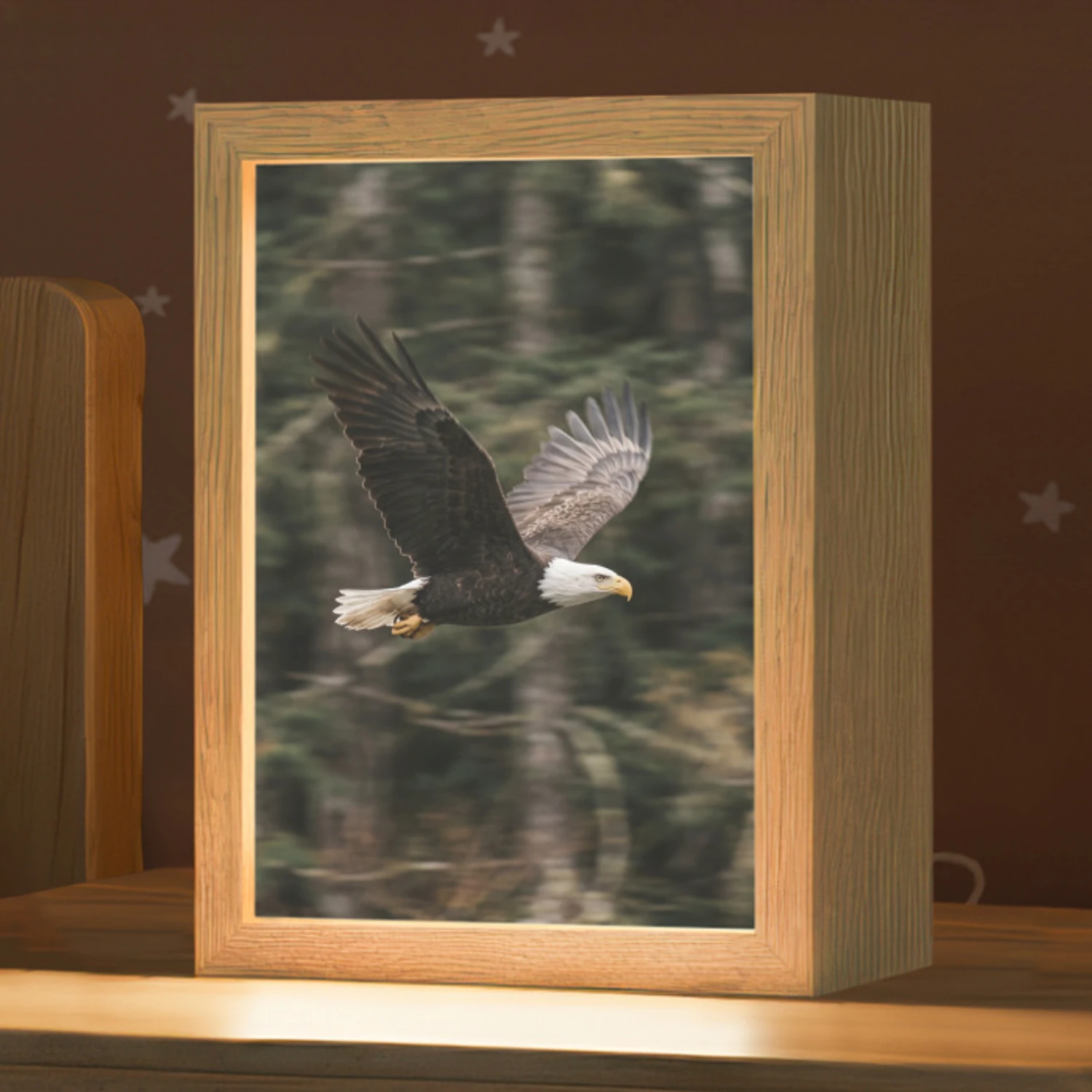 Zeearend - Vliegen - Bos - Natuur Light Box met kabel (Kinderlampje) klein -zzz_3d_website