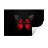 Vlinder - Rood - Contrast Muursticker klein -3d
