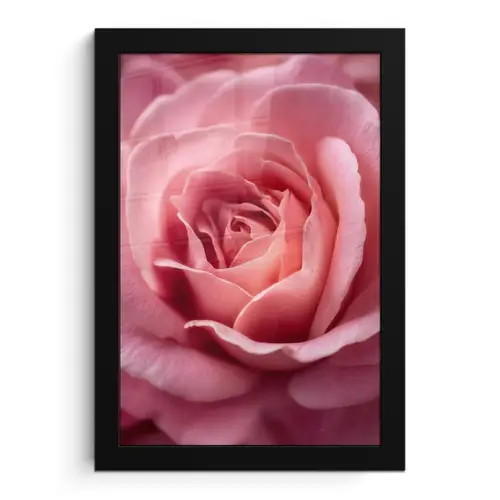 Roze - Roos - Romantisch fotolijst zwart zonder passe partout klein -3d