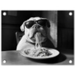 Hond - Bulldog - Pasta - Bril - Stoer - Dieren tuinposter los doek klein -3d