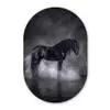 Paard - Magisch - Zwart Wandcirkel Ovaal Forex klein -3d