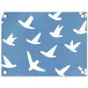 Vogels - Wit - Patroon tuinposter los doek klein -3d