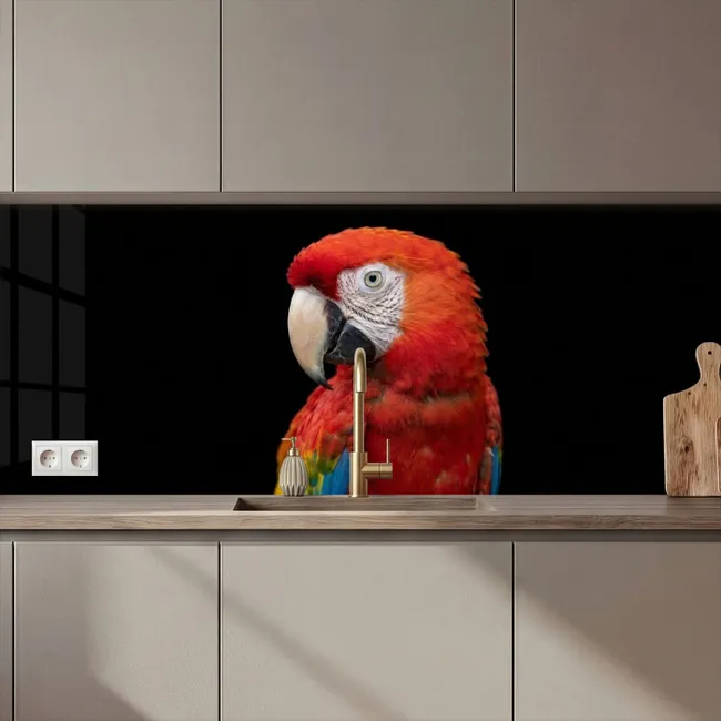 Keuken achterwand - Ara - Portret - Rood