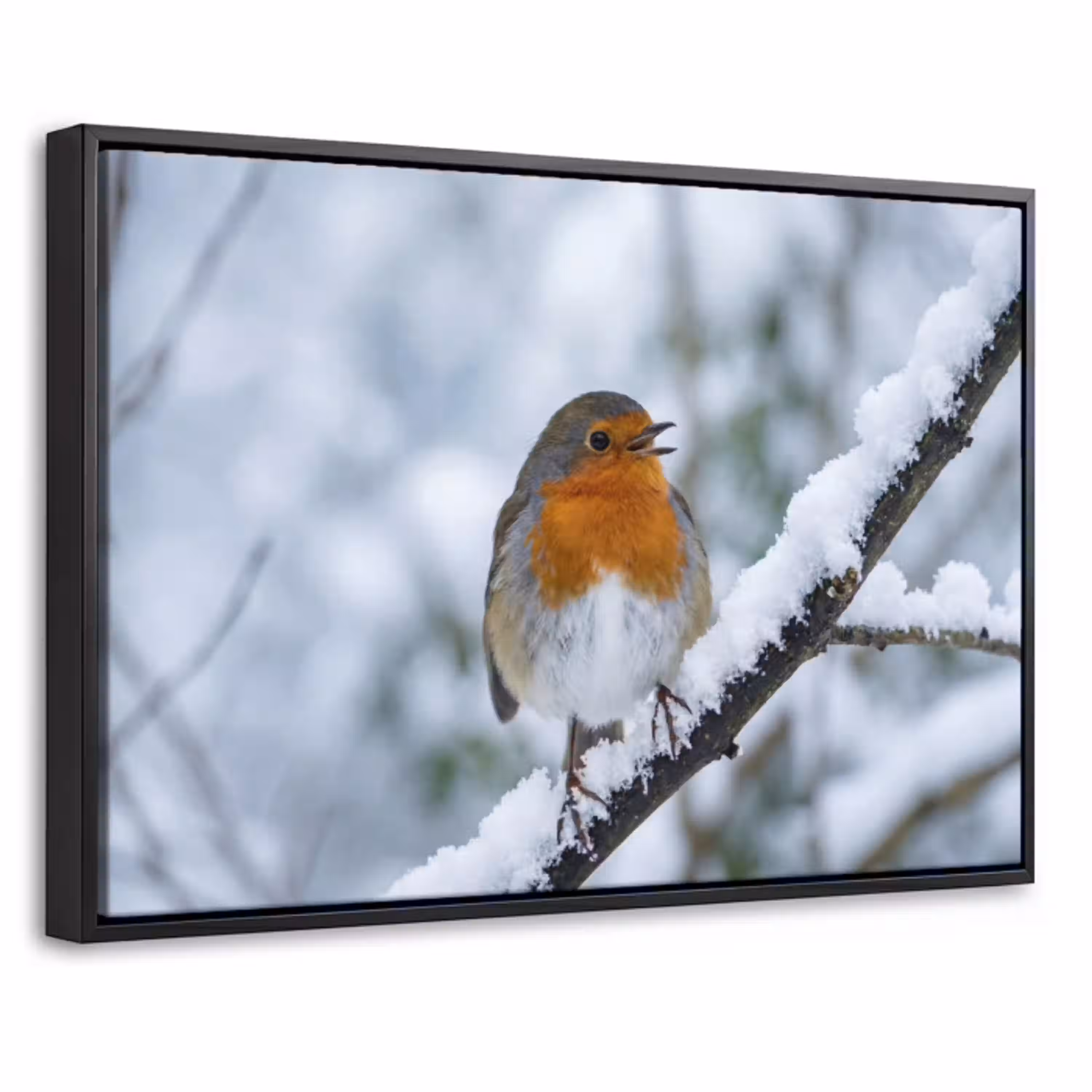 Roodborstje - Tak - Sneeuw - Winter - Levendig Canvas met baklijst klein -threedimensional_3d_global