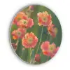 Bloemenveld - Zonnestralen - Oranje Akoestische PET Vilt - Rond klein -3d