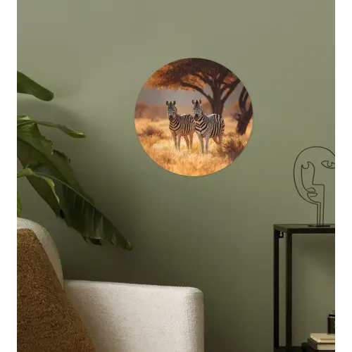 Zebra's - Savannelandschap - Gras Wandcirkel behangsticker klein -sfeer2