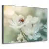 Lieveheersbeestje - Bloemen - Wit Textielframe zwart klein -3d