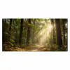 Zonlicht - Bospad - Bomen Muismat XXL klein -3d_leeg
