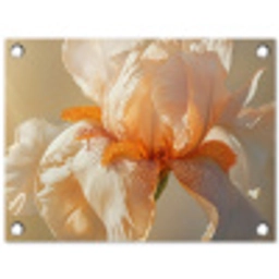 Close up - Oranje - Iris tuinposter los doek klein -3d