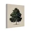 Eikenboom - Schaduw - Egaal aluminium wit klein -3d