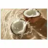 Kokosnoot - Water - Beige - Spetters poster papier klein -3d