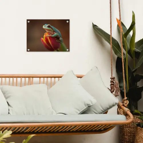 Close-up - Kikker - Tulp - Rood tuinposter los doek klein -sfeer7