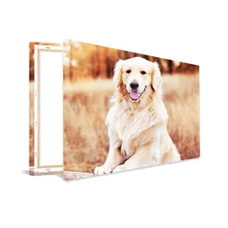 Foto op canvas - Productbeeld - Afbeelding van een hond buiten