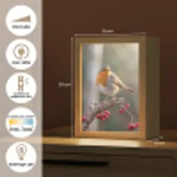 Roodborst - Tak - Bessen - Natuur Light Box met kabel (Kinderlampje) klein -USP_FR