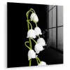 Lelietjes van dalen - Bloemen - Zwart - Flora plexiglas 5mm klein -zzzproduct_nieuw