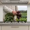 Bieten - Vers - Moestuin keuken achterwand spatscherm klein -3d_website