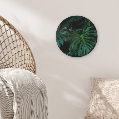 Monstera -  Inductie beschermer - Bladeren - Tropical - Afdekplaat voor kookplaat Wandcirkel kunststof plaat 5mm dik klein -sfeer5