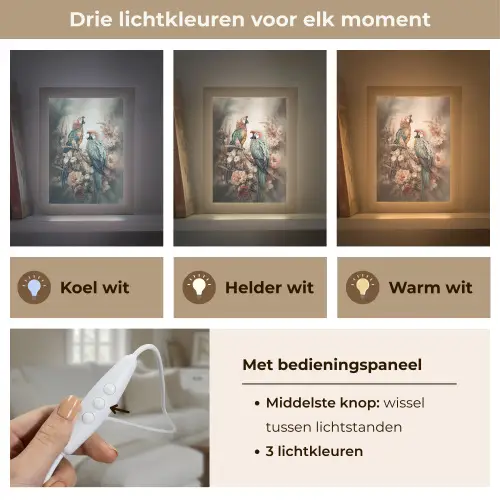 Papegaaien - Vogels - Natuur - Bloemen Light Box met kabel (Tafellamp) klein -USP_lichtkleurNL