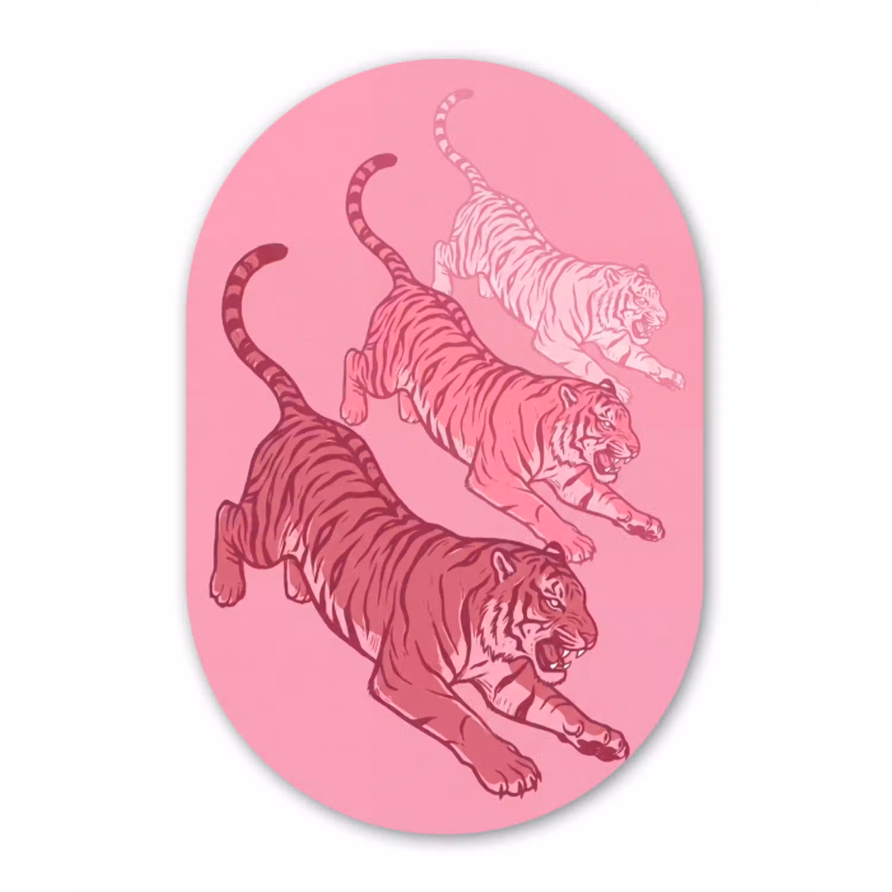 Kat - Springend - Dieren - Roze - Modern Wandcirkel Ovaal Aluminium middel -3d