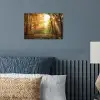 Bos - Herfst - Zon - Landschap - Natuur - Bomen - Bladeren poster papier klein -sfeer2