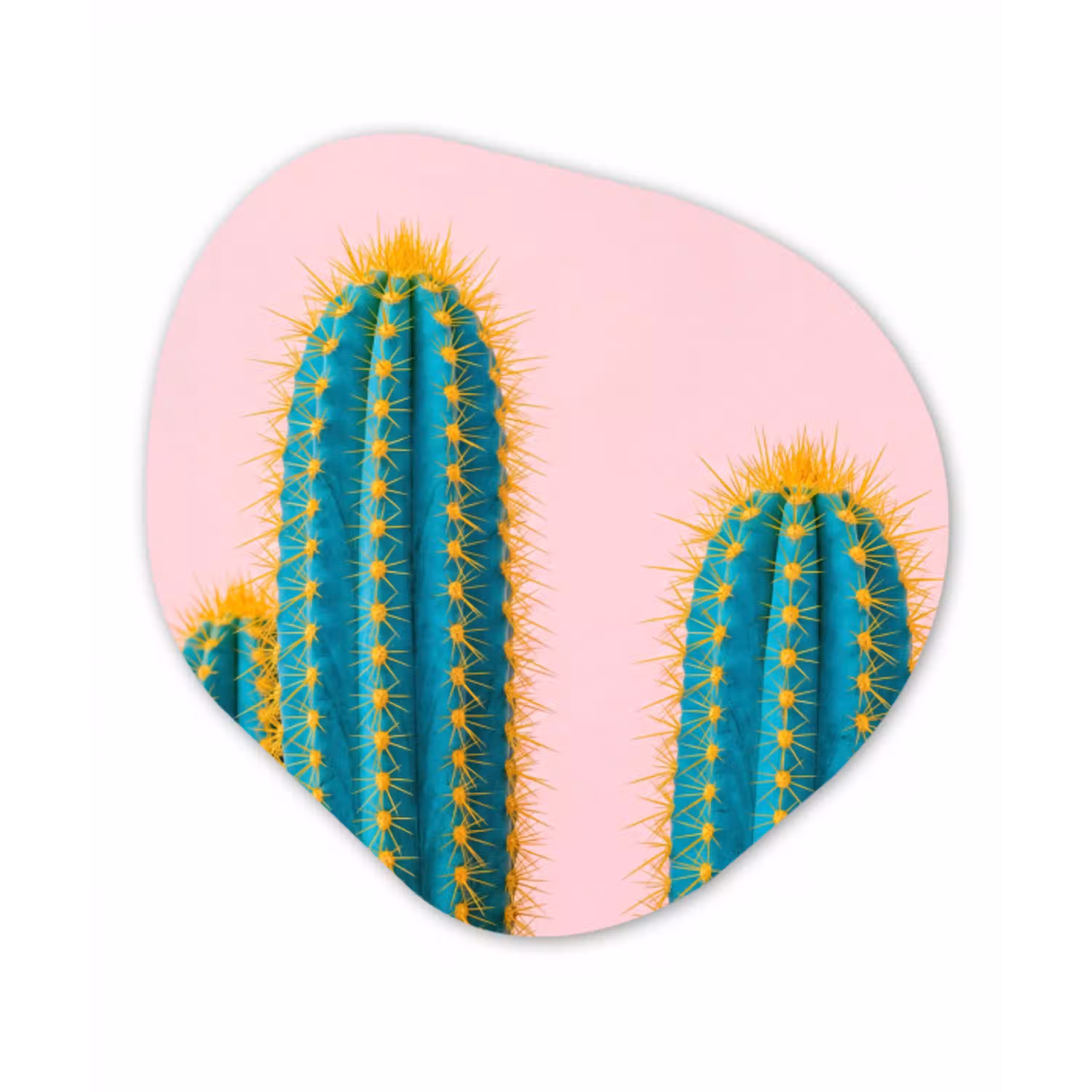 Cactussen - Modern - Pastel Wandcirkel Organisch Aluminium middel -3d