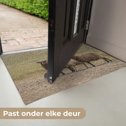 Schapen - Bruin - Wit - Grindpad Deurmat klein -USP_NL