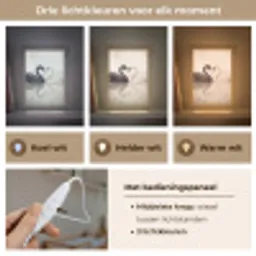 Zwanen - Hartvorm - Dieren Light Box met kabel (Kinderlampje) klein -USP_lichtkleurNL