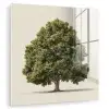 Eikenboom - Groen - Lichte achtergrond plexiglas 5mm klein -zzzproduct_nieuw